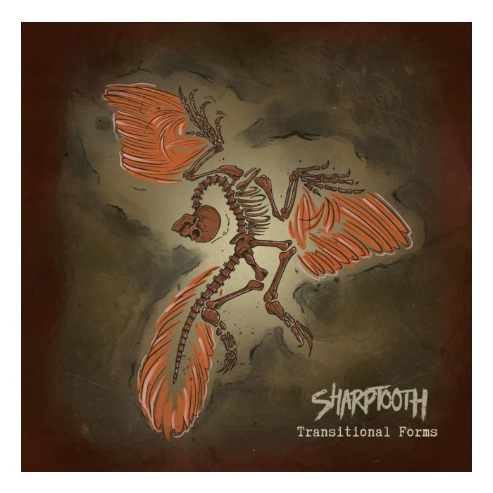 SHARPTOOTH - TRANSITIONAL FORMS