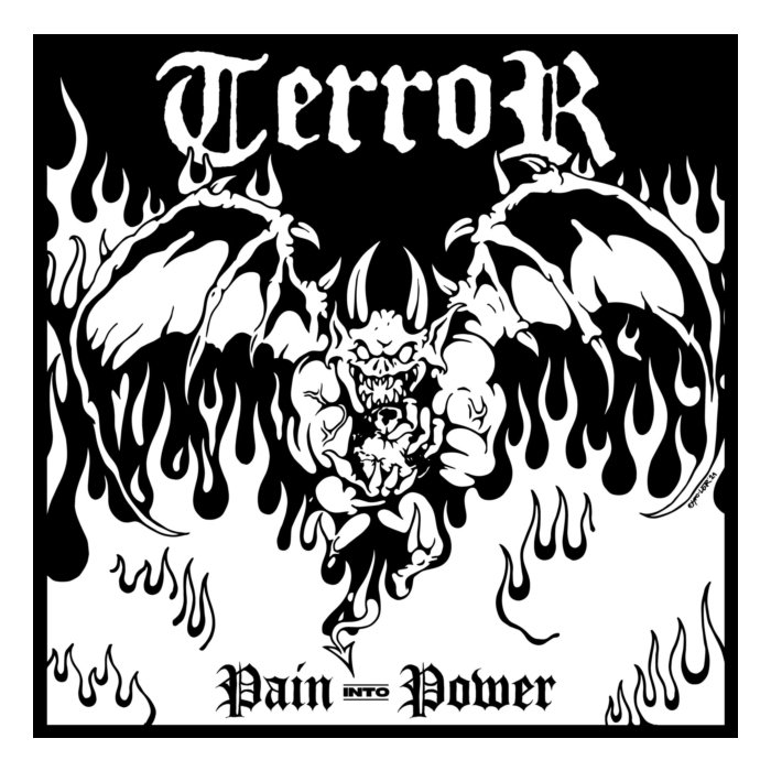 TERROR - PAIN INTO POWER