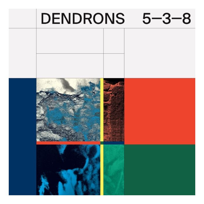 DENDRONS - 5-3-8