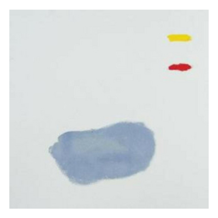 FLORIST - IF BLUE COULD BE HAPPINESS