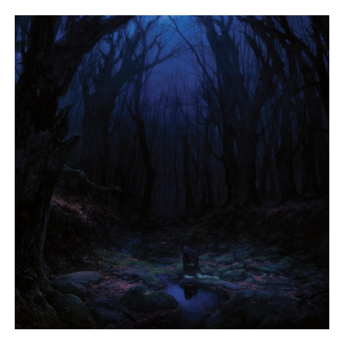 WOODS OF DESOLATION - TORN BEYOND REASON