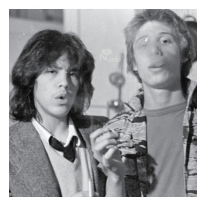 Best Piece Of Shit Vol. 4 (2Lp) - Hated