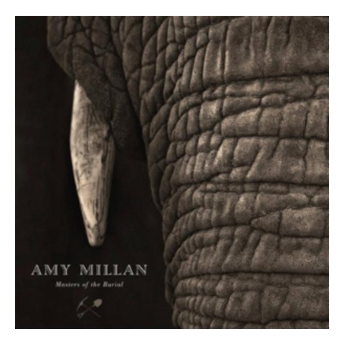 Masters Of The Burial - Amy Millan