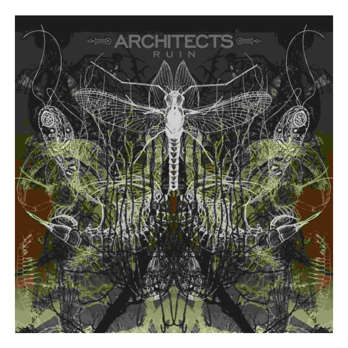 ARCHITECTS - RUIN REISSUE