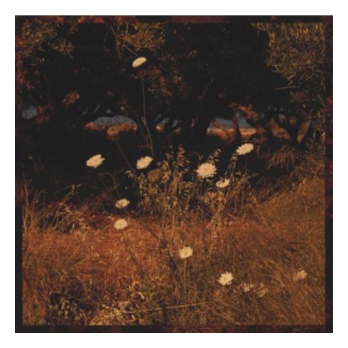 SZUN WAVES - EARTH PATTERNS