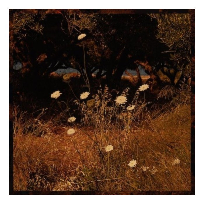 SZUN WAVES - EARTH PATTERNS (BROWN SMOKE VINYL) (I)