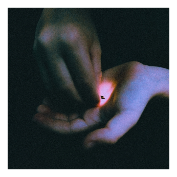 BAMBARA - STRAY