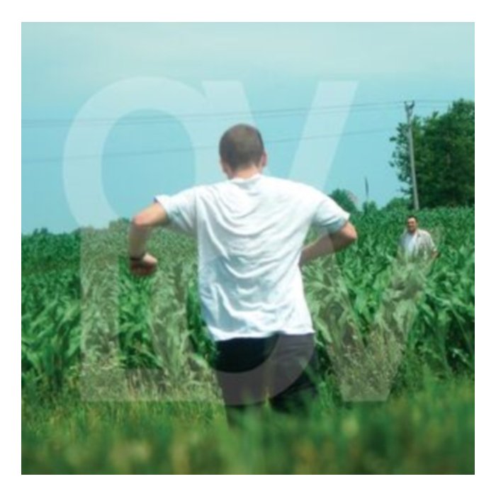 Am (Purple Inside Clear Vinyl) - Ovlov