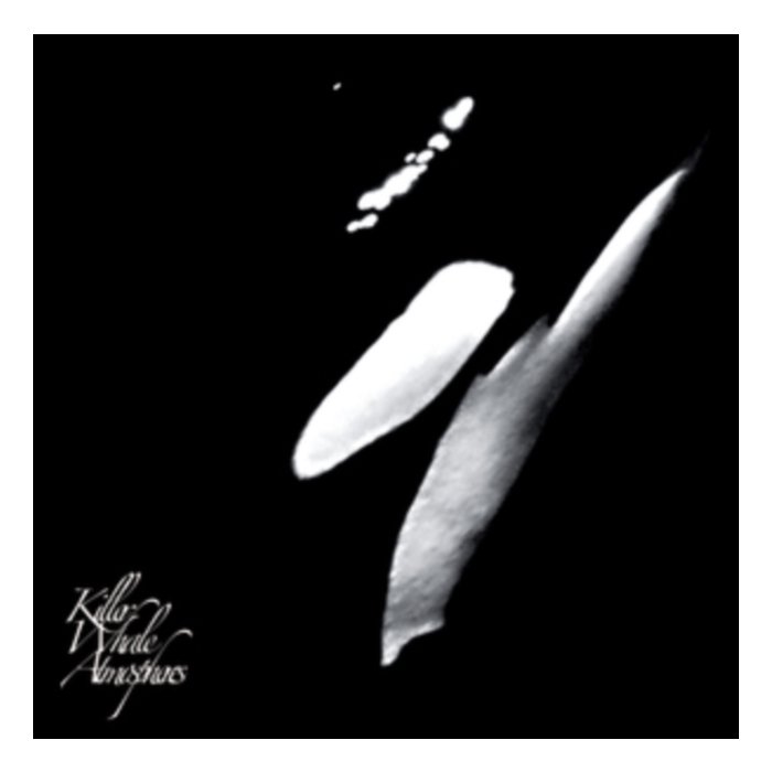 RAINFOREST SPIRITUAL ENSLAVEMENT - KILLER WHALE ATMOSPHERES