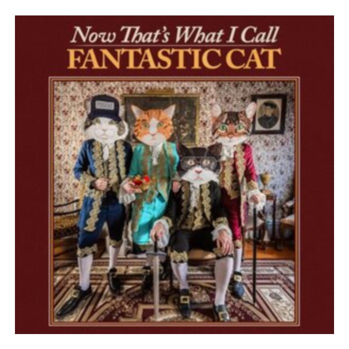 Now That'S What I Call Fantastic Cat - Fantastic Cat