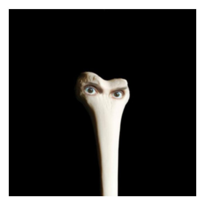 Halo (Dl Card) - Juana Molina