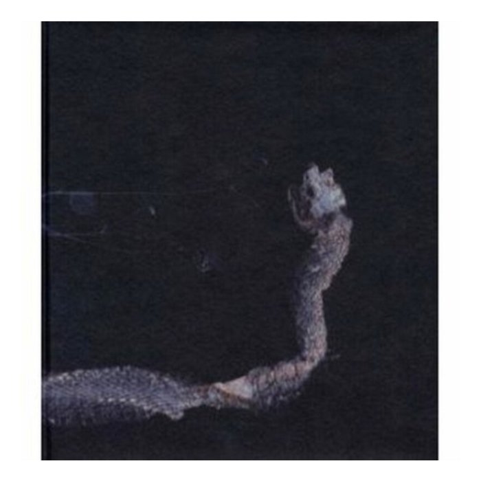 Maaaet (2Lp) - Tenhi