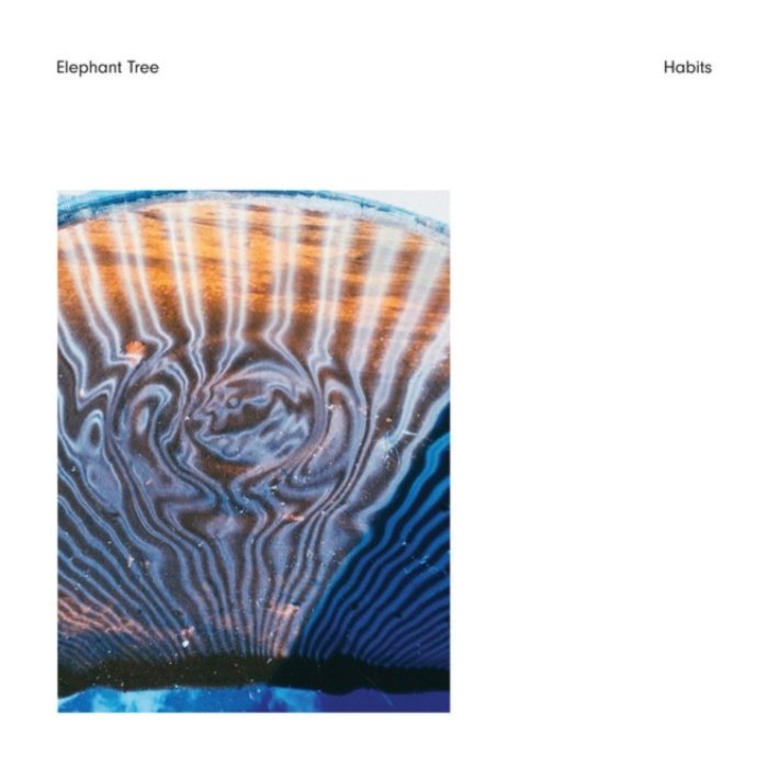 ELEPHANT TREE - HABITS (ORANGE VINYL)