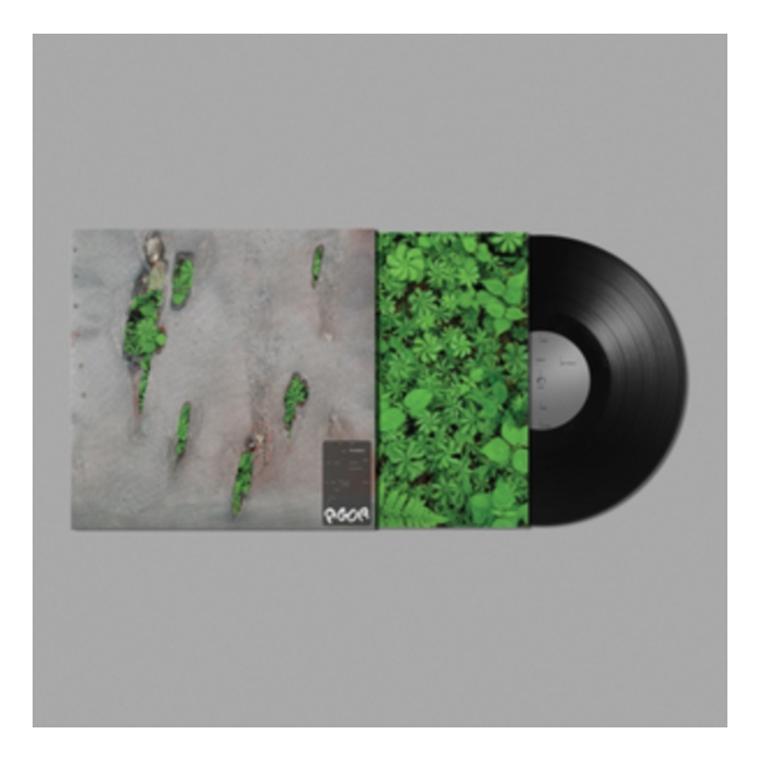 KORELESS - AGOR