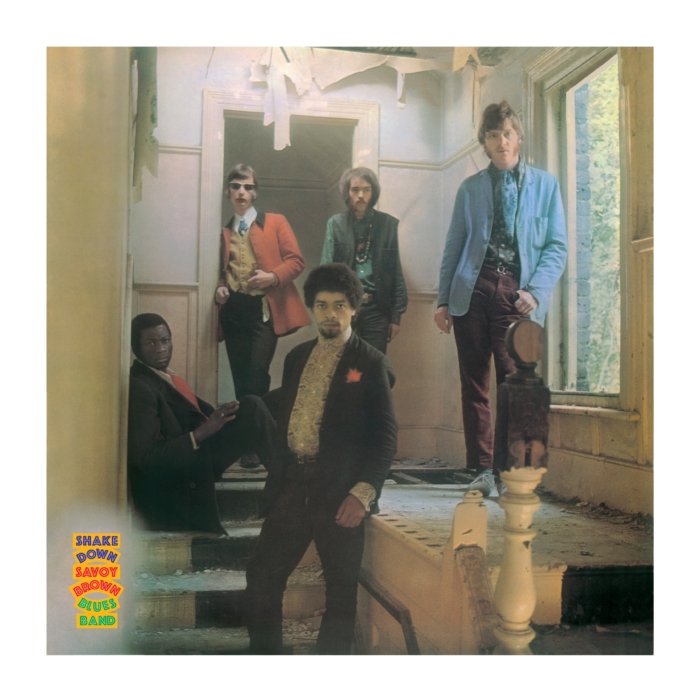 BIRDS - RONNIE WOOD'S BIRDS (45RPM)