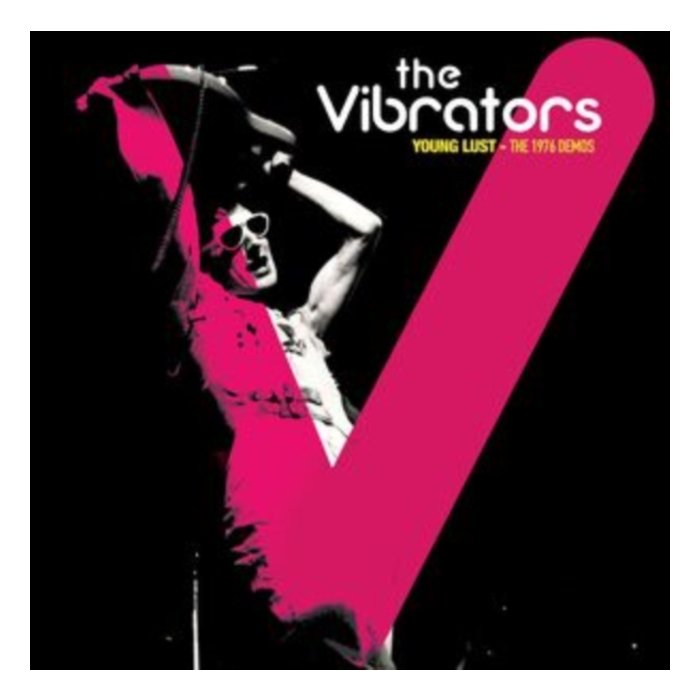 Demos 1976 (Splatter Vinyl) - Vibrators