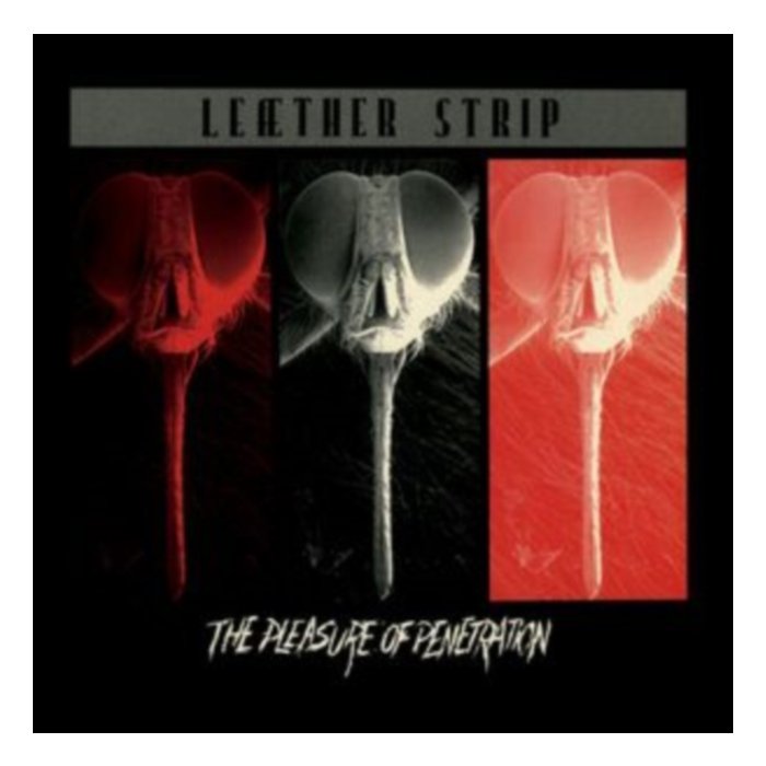Pleasure Of Penetration (Silver Vinyl) - Leather Strip