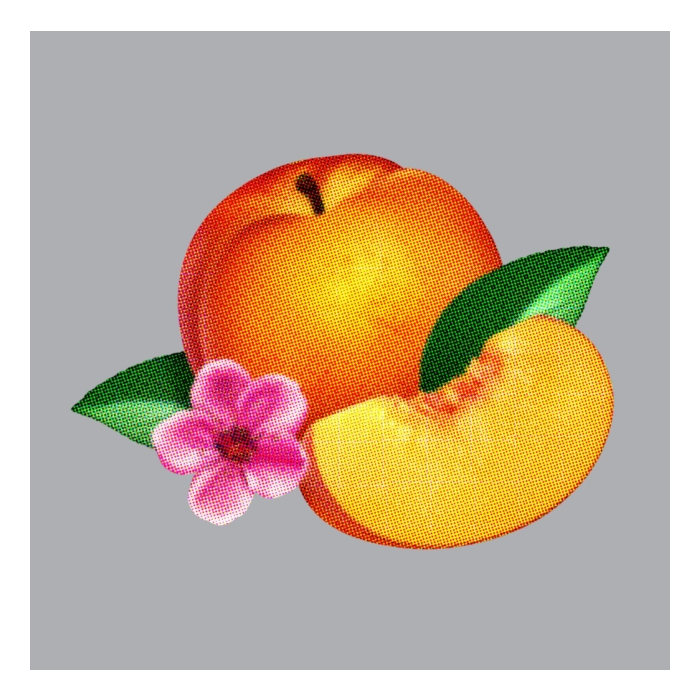 PHOENIX - BANKRUPT