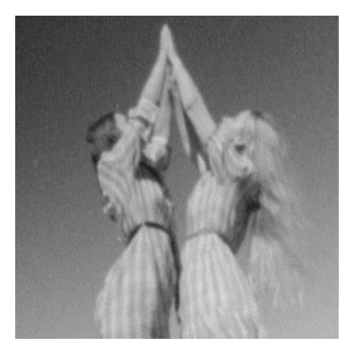 PURPLE PILGRIMS - PERFUMED EARTH