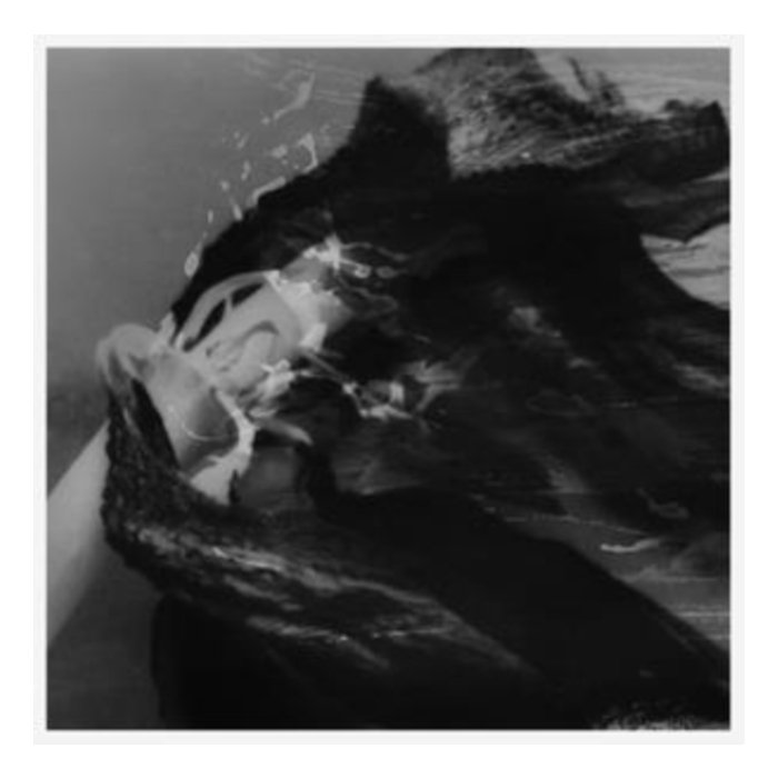 Active Imagination - Samson,Will