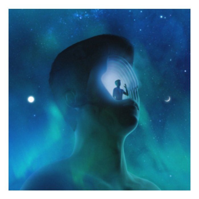 PETIT BISCUIT - PRESENCE