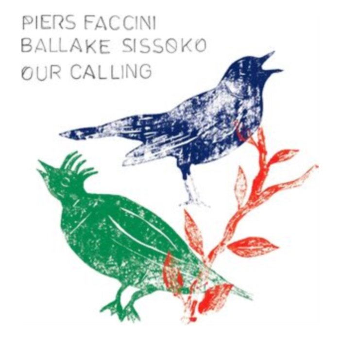 Our Calling - Piers & Ballake Sissoko Faccini