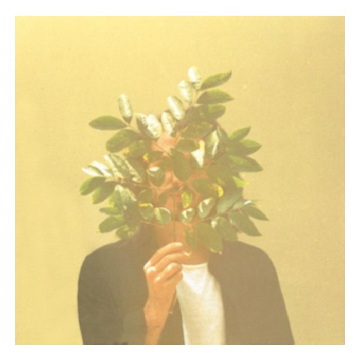 French Kiwi Juice (2Lp) - Fkj