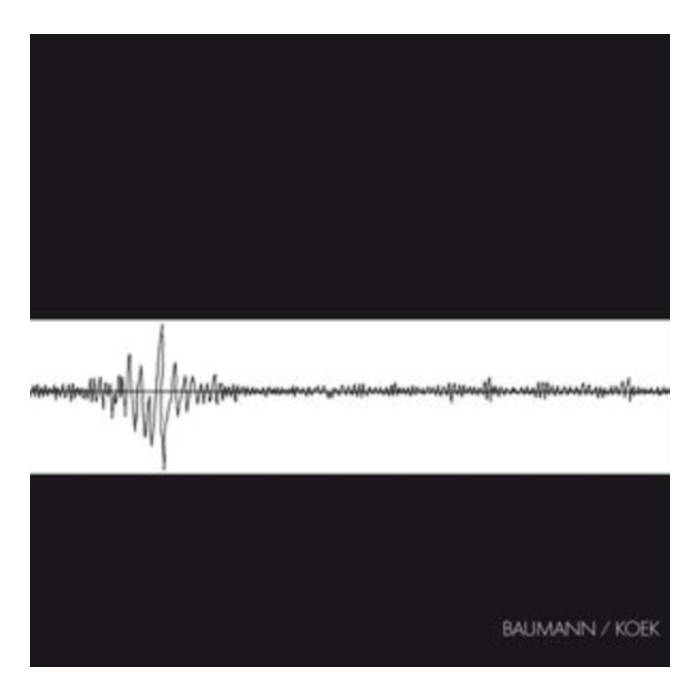 BAUMANN / KOEK - BAUMANN/KOEK