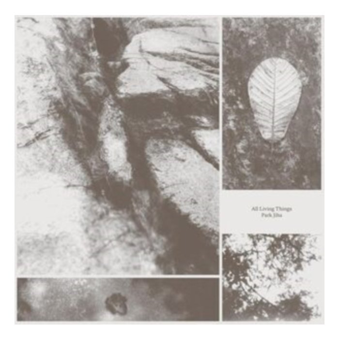 All Living Things - Jiha,Park