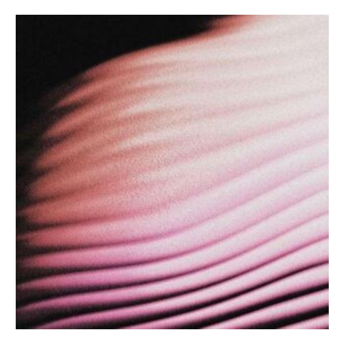 POLAR - EVERYTHING