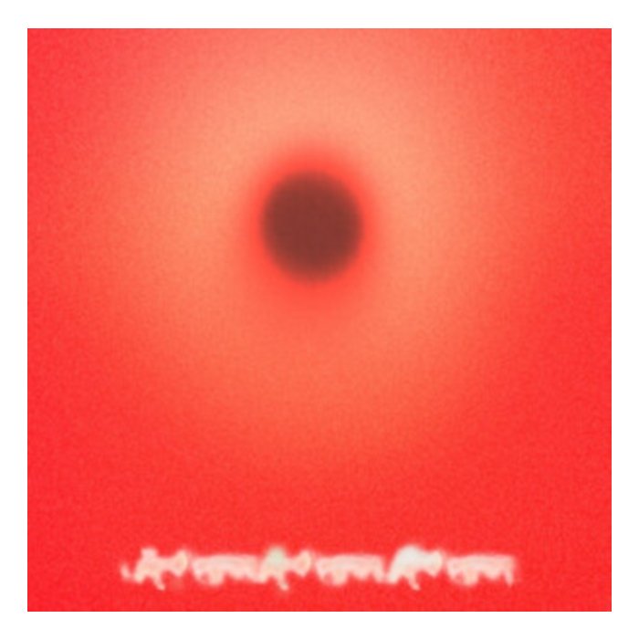 45 Pounds - Yhwh Nailgun