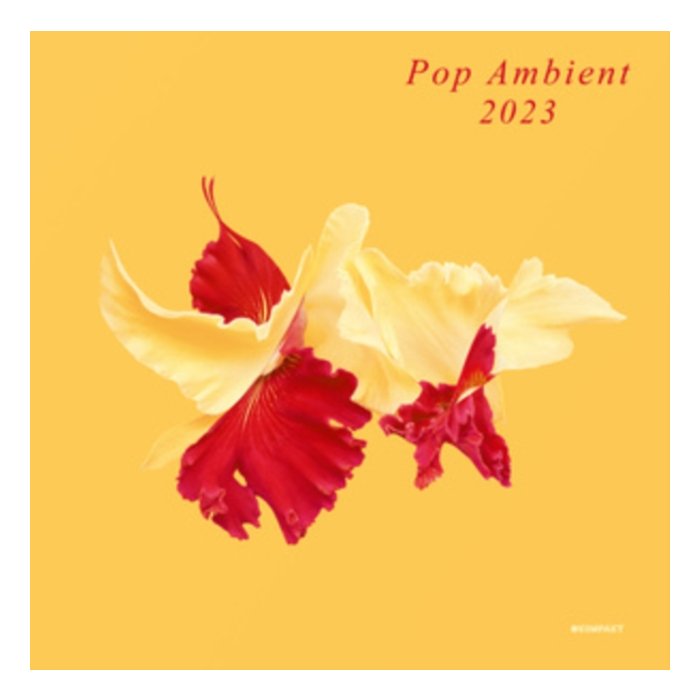 VARIOUS ARTISTS - POP AMBIENT 2023