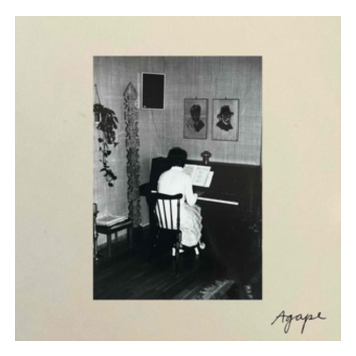 TARA NOME DOYLE - AGAPE