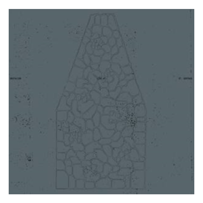 VARIOUS ARTISTS - BRUTALISM LIVE AT ST. GERTRUD
