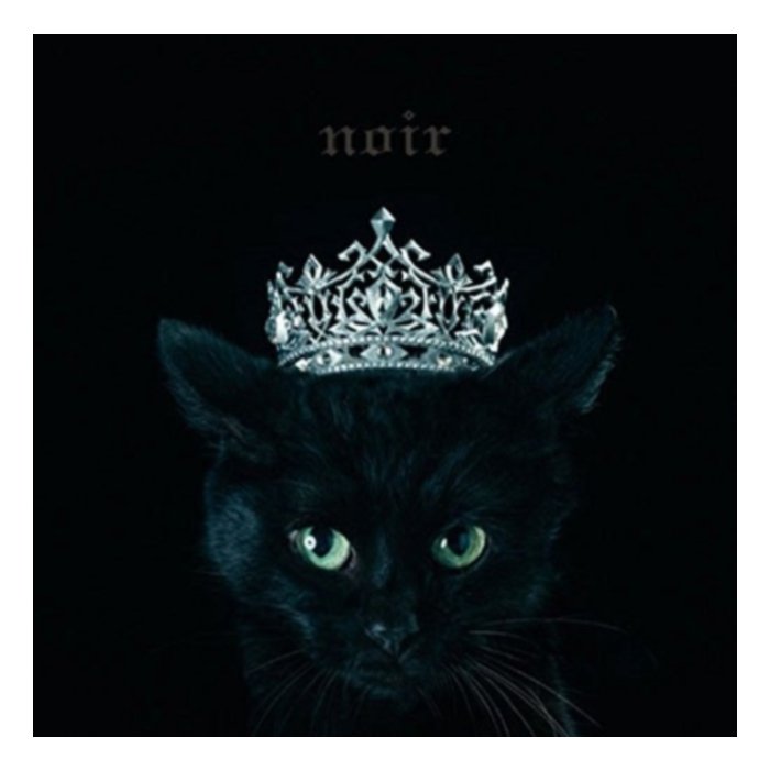 Best Selection `Noir` - Aimer
