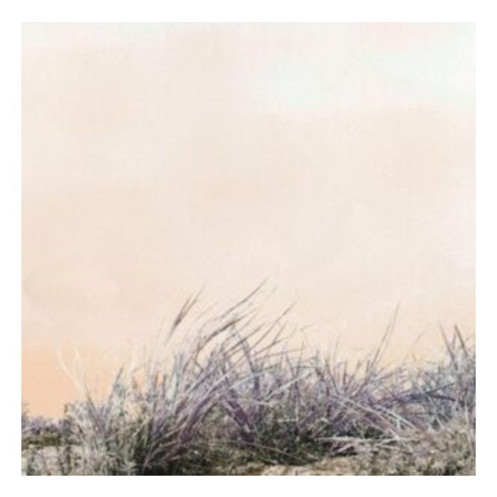 ART-SCHOOL - LOVE/HATE (2LP)