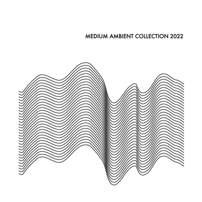 VARIOUS ARTISTS - MEDIUM AMBIENT COLLECTION 2022 (WHITE VINYL/2LP)