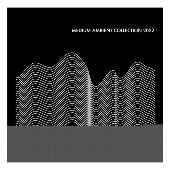 VARIOUS ARTISTS - MEDIUM AMBIENT COLLECTION 2022 (2LP)