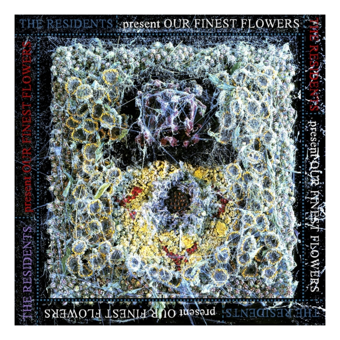 RESIDENTS - OUR FINEST FLOWERS