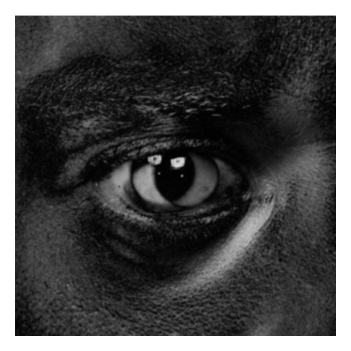 WILEY - EVOLVE OR BE EXTINCT