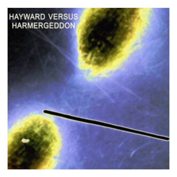 HAYWARD VERSUS HARMERGEDDON - HAYWARD VERSUS HARMERGEDDON