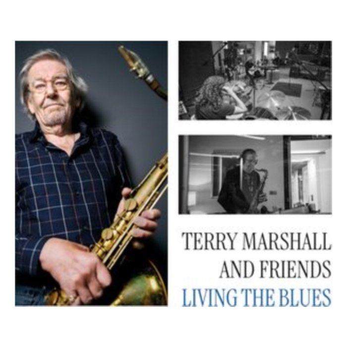 Living The Blues (2Lp) - Marshall,Terry & Friends