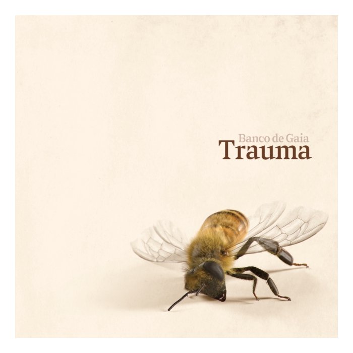 BANCO DE GAIA - TRAUMA