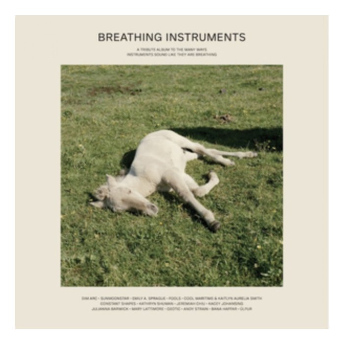 VARIOUS ARTISTS - BREATHING INSTRUMENTS