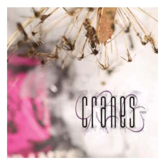 CRANES - FUSE