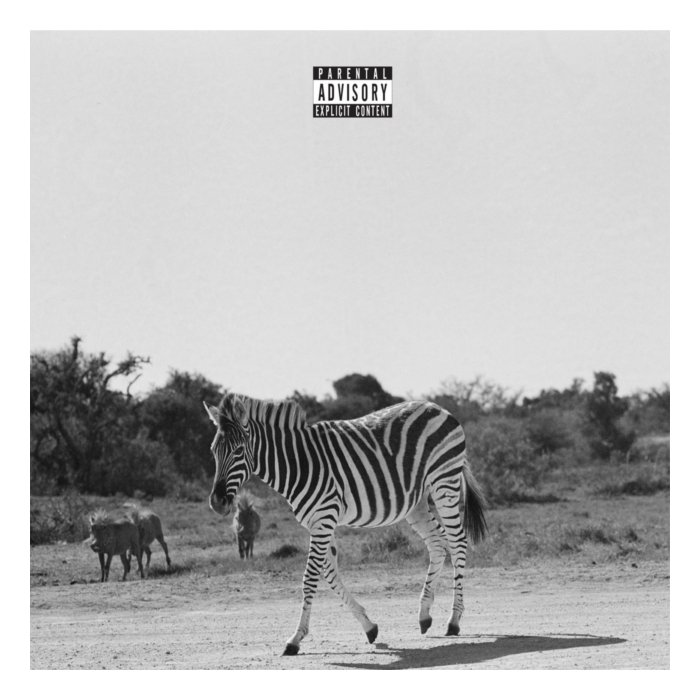 LOUIS VI - EARTHLING