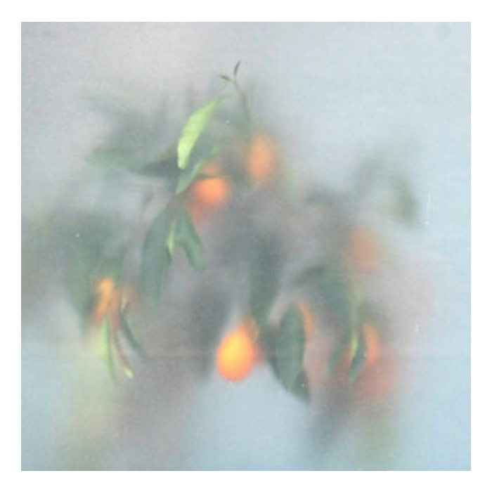 Μ-ZIQ & MRS JYNX - SECRET GARDEN (LTD/GREEN VINYL)