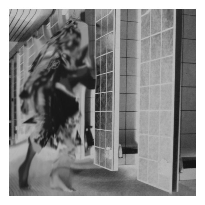 FEMME - RUDERAL EXOTIQUE