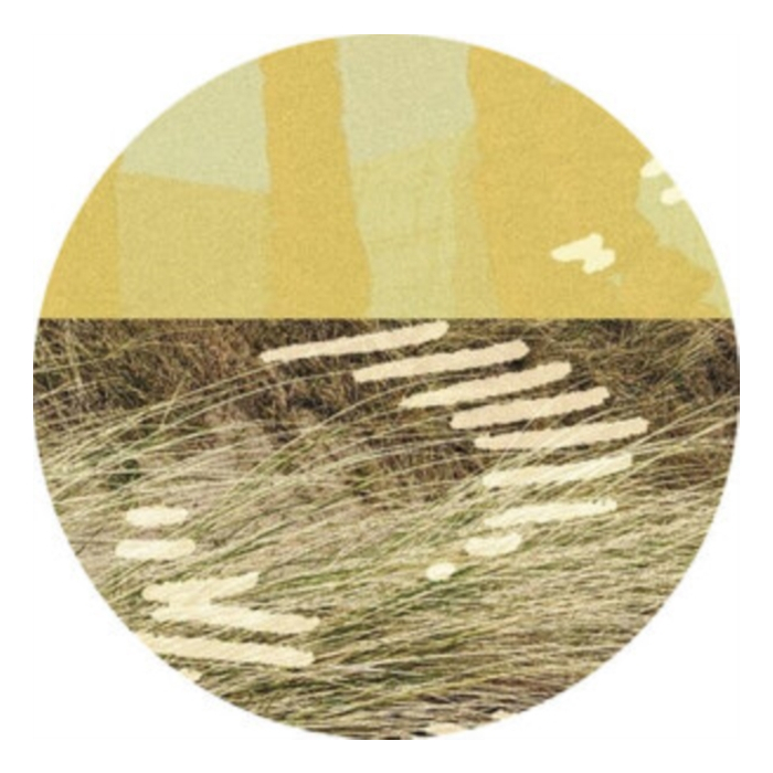 PARRIS - TERRAPIN EP