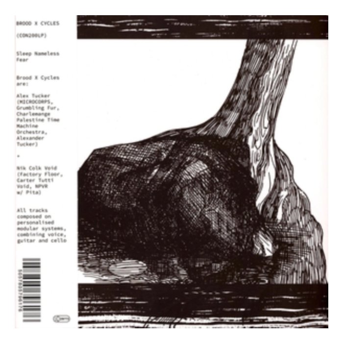 Sleep Nameless Fear - Brood X Cycles